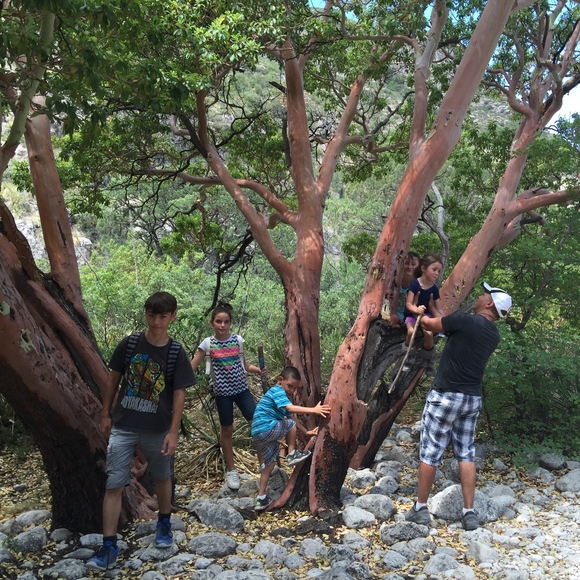 Meet the Posher Other - Meet your Posher, TeAnna